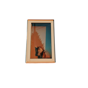 A Fluffy Cat Sits By The Window, Basking In The Warm Sunset Glow. 13723 - Cat PNG image with transparent background